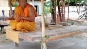 Видео встречи буддийского монаха со змеей обсуждают в сети