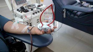 В Алматы из столицы Казахстана доставлено 360 доз крови