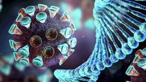 Очередная теория о коронавирусе, как биооружии, будоражит казнет