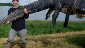 Огромный аллигатор, долгое время вредивший людям, застрелен во Флориде