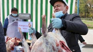 Казахстанских мясников обучили правилам халяльного забоя скота