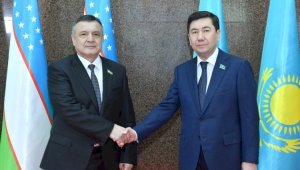 Совет межпарламентского сотрудничества создали Казахстан и Узбекистан
