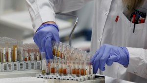 Препаратом на основе антител из плазмы переболевших доноров хотят лечить КВИ в России