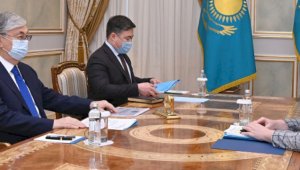 Глава государства принял председателя Счетного комитета Наталью Годунову