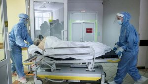 У восьми пациентов с COVID-19 обнаружили «черную плесень» в России