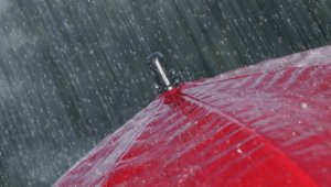 Сильный дождь ожидается в Алматы – ДЧС обратился к горожанам