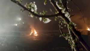 В Туркестанской области всю ночь жгли костры, пытаясь спасти от мороза цветущие сады