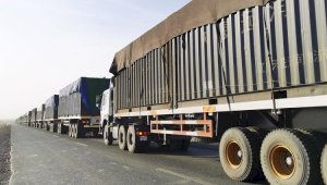 Скопление грузов на границе прокомментировал глава Минторговли