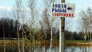 В водоемах Алматинской области запретили  ловить рыбу