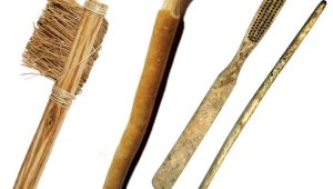 Улыбка Жетысу: какими зубными щетками пользовались в средневековье жители нашего региона