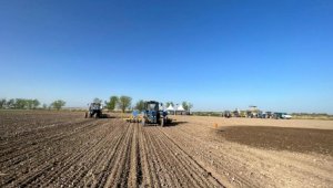Казахстанским фермерам окажут беспрецедентные меры поддержки
