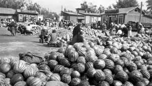 Продовольственный пояс вокруг Алматы начали создавать еще в XIX веке