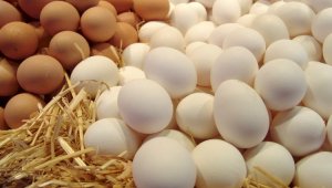 Казахстанские яичные птицефабрики получат дополнительную поддержку от государства