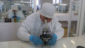 Казахстан откроет ученым из России доступ в новую биолабораторию