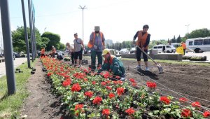 Почти 160 тысяч квадратных метров засадят цветами в Алматы