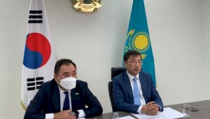 Южнокорейские эксперты положительно оценили конституционную реформу Казахстана