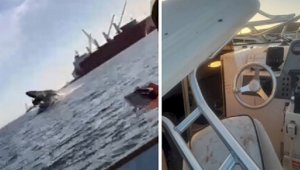 Видео нападения кита на лодку с туристами шокировало зрителей