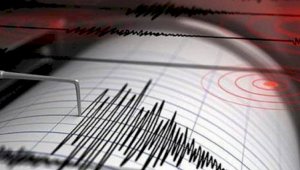 Землетрясение произошло в 800 километрах от Алматы