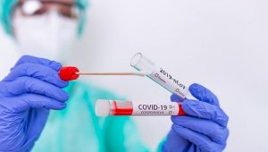 В Казахстане за сутки выявлено 12 случаев заболевания коронавирусом