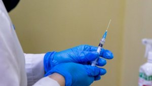 Будут ли казахстанцев вакцинировать от оспы обезьян