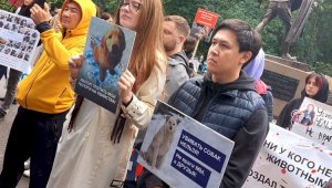 Живые души: алматинцы провели митинг в защиту прав животных