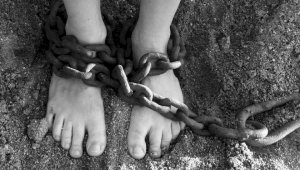 В Костанайской области должностные лица госучреждения подозреваются в торговле людьми