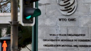 Жанель Кушукова: Мы поддерживаем стремление Ташкента стать членом ВТО