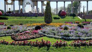 Рвали цветы на клумбах, чтобы продать – двух приезжих задержали в Алматы