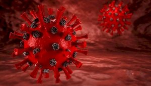 Уровень заболеваемости коронавирусом в мире снизился, а смертность увеличилась