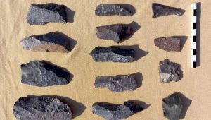 Артефакты каменного века нашли в Алматинской области