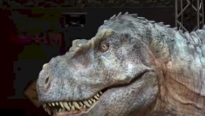 Видеоролик с тираннозавром взволновал пользователей казнета