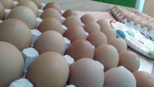 Минсельхоз увеличивает субсидирование птицефабрик в Казахстане