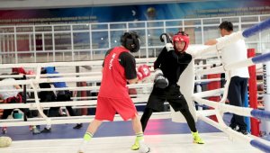 В Казахстане впервые пройдет международный турнир по боксу «Елорда Кубогі»