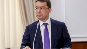 Казахстан планирует нарастить приток прямых иностранных инвестиций до $25,5 млрд