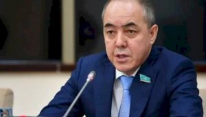 Нариман Торегалиев возглавил комитет Сената