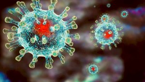 188 новых случаев коронавируса зафиксировали казахстанские медики за сутки