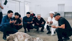 Около 47 тысяч нуждающихся казахстанских семей получили мясо в первый день Курбан айта