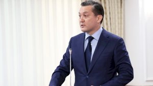 Министр экологии получил выговор от Президента за разрешение на отстрел сайгаков