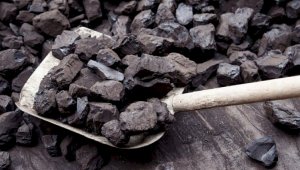 Покупать уголь заранее посоветовали казахстанцам в Мининдустрии