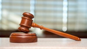 Оскандалившуюся «жену прокурора» суд приговорил к штрафу