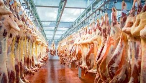Казахстан налаживает экспорт мяса в Саудовскую Аравию