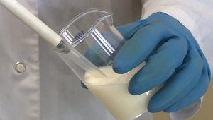 В казахстанской молочной продукции выявили 78% несоответствий