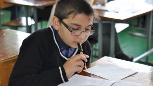 На ухудшение зрения казахстанских школьников негативно влияет компьютеризация обучения