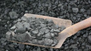 Аким Талдыкоргана предупредил о возможном ажиотаже из-за угля