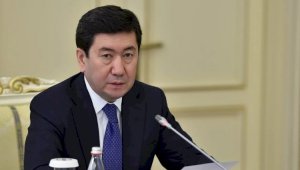Ерлан Кошанов высказался о предстоящих президентских выборах в Казахстане