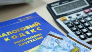 Налоговая система РК должна заработать в полном объеме – Айжан Жаткамбаева