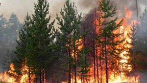 В связи с пожаром в Костанайской области открыта горячая линия для нуждающихся