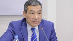 Санат Кушкумбаев: Общество ожидает решительных политических реформ