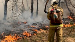 В Аулиекольском районе полностью ликвидирован крупный природный пожар
