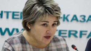Наказание за бытовое насилие имеет немаловажное значение для развития Казахстана - Зульфия Байсакова
